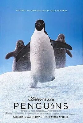 企鹅 Penguins