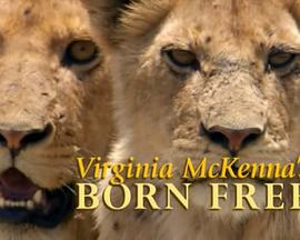 弗吉尼亚·麦肯娜回顾《生来自由》VirginiaMcK